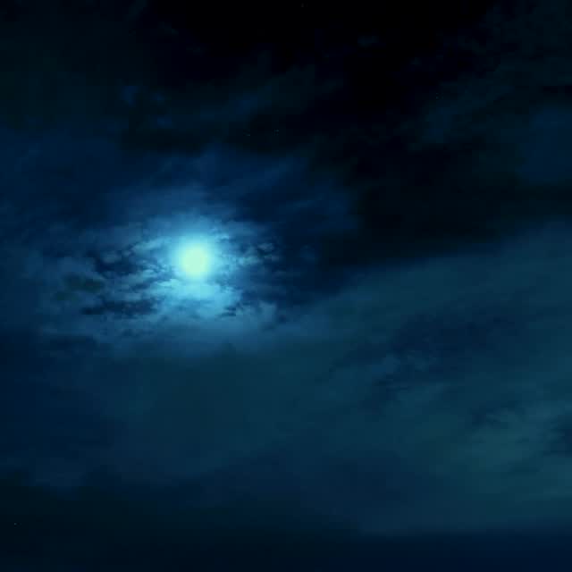 Starfall . . . 

•

#creative_ace #night_owlz #nightphotography #moody_shotz_ #longexposure