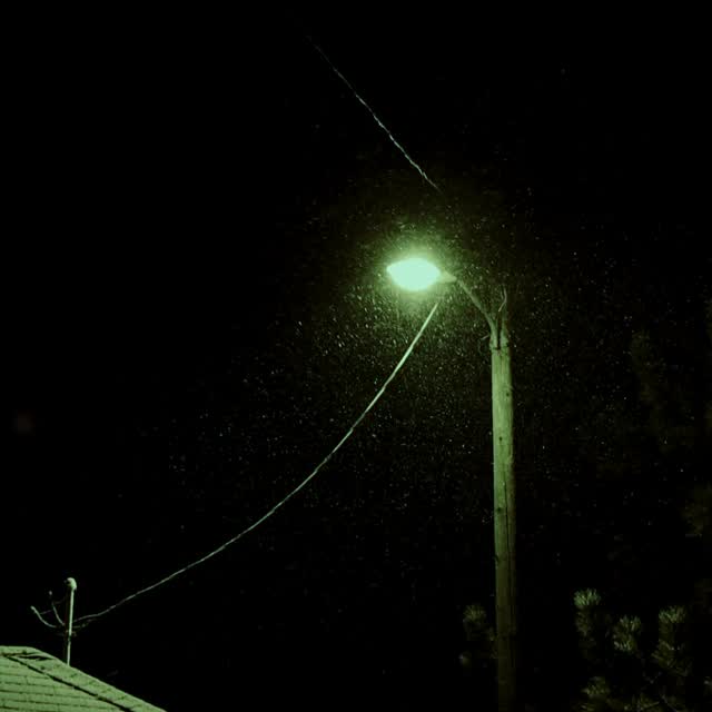 Nightbound . . . 

•

#night_owlz #nightshooters #moody_shotz_ #nightphotography #cinema_streets