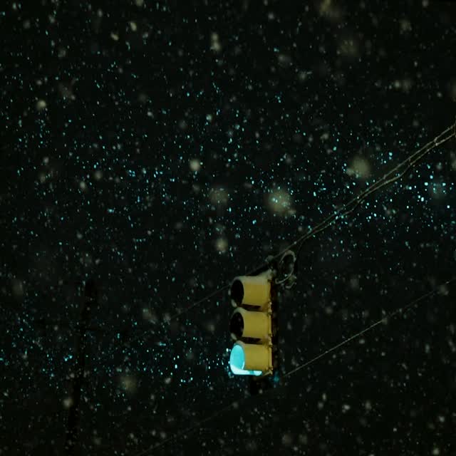 Light Signal Cutting Through Heavy Snow . . . 

•

#night_owlz #creative_ace #moody_shotz_ #snowfall #slowmotion