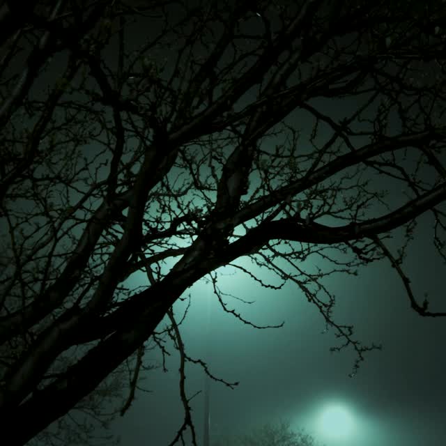 Alone beneath tired streetlights . . . 

•

#night_owlz #nightphotography #liminal #foggy #moody